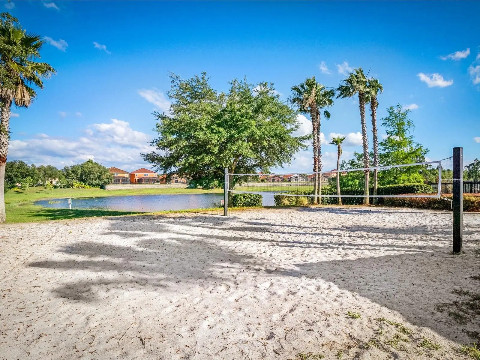 554 Paloma Drive, FL