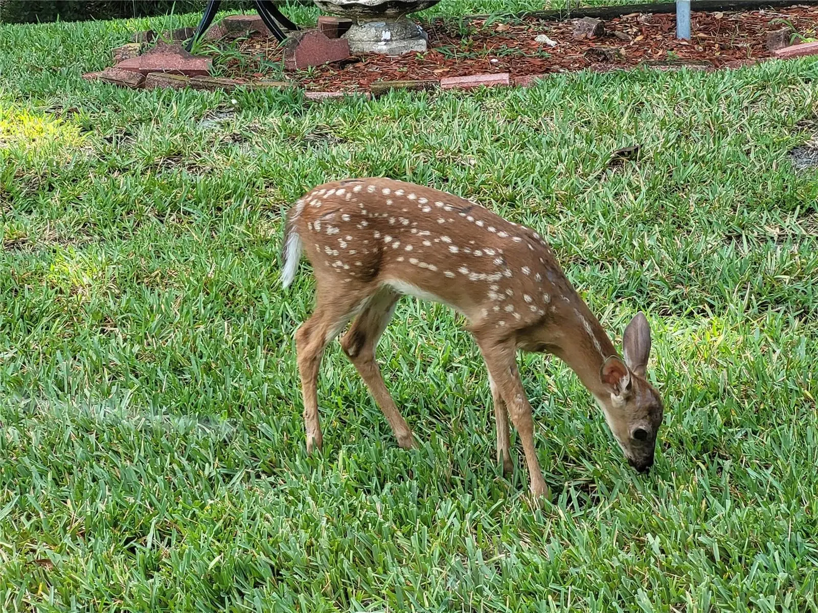 11588 139th Place, FL