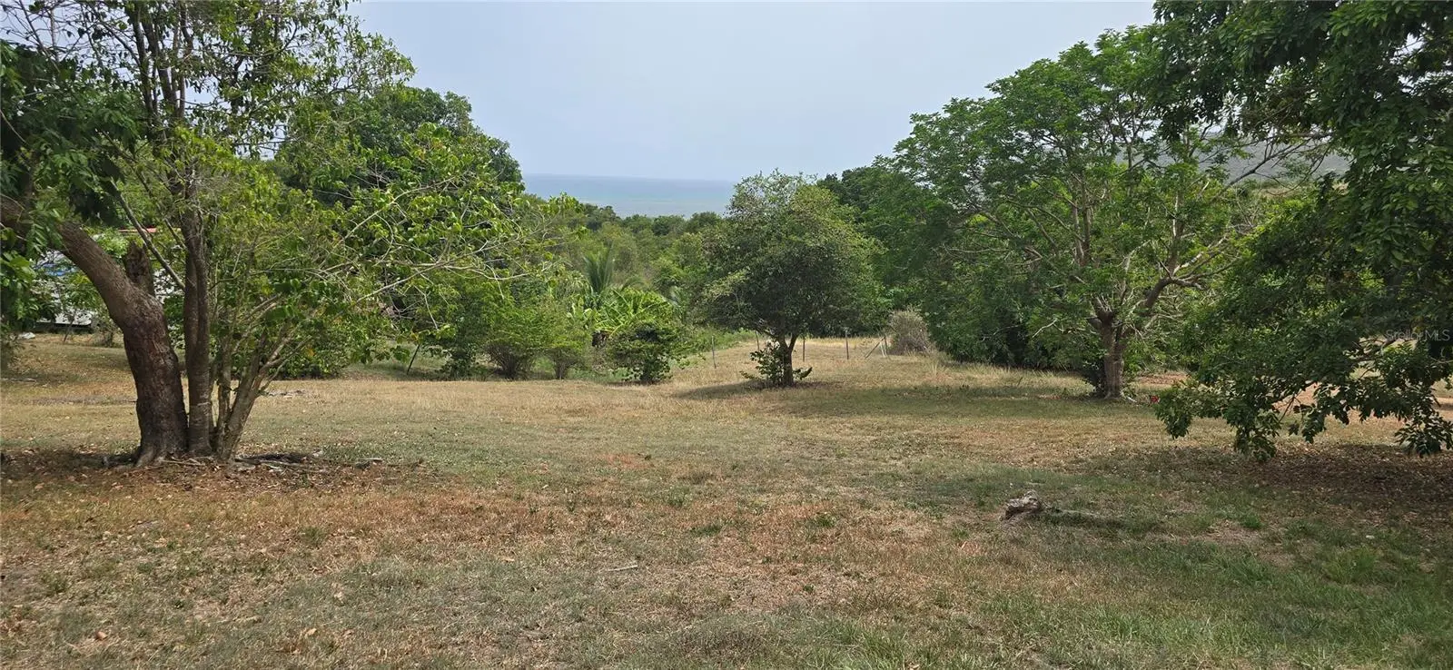 Camino Nuevo, PR