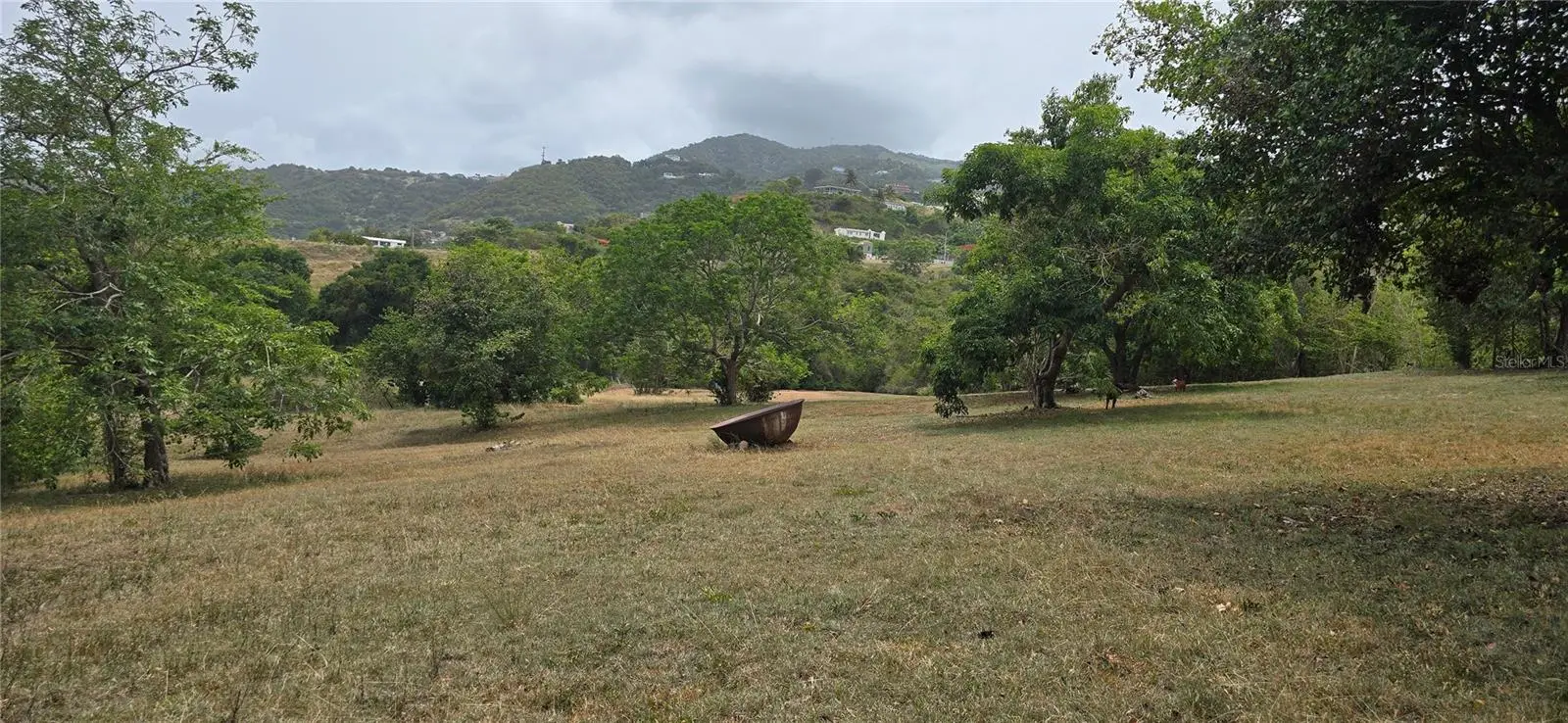 Camino Nuevo, PR