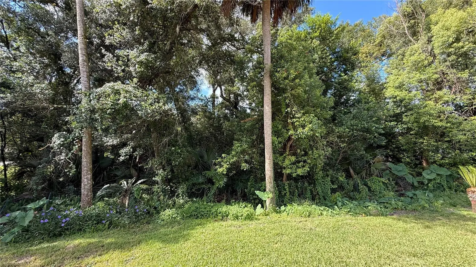 898 Crittenden Avenue, FL