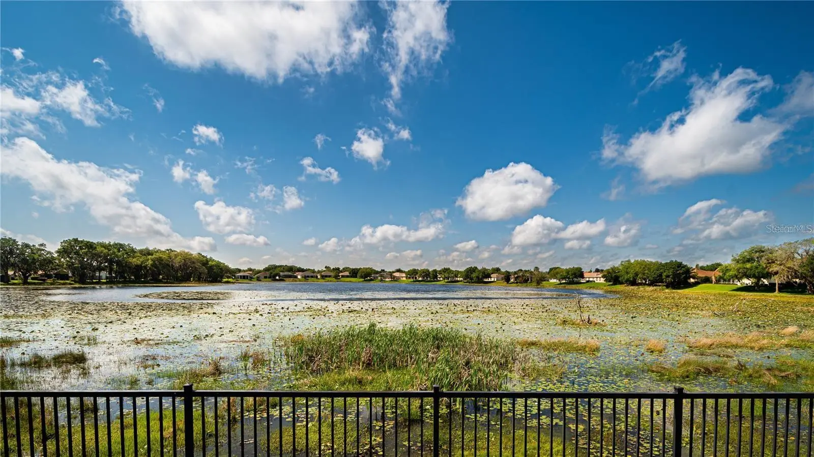 3447 Mount Hope Loop, FL