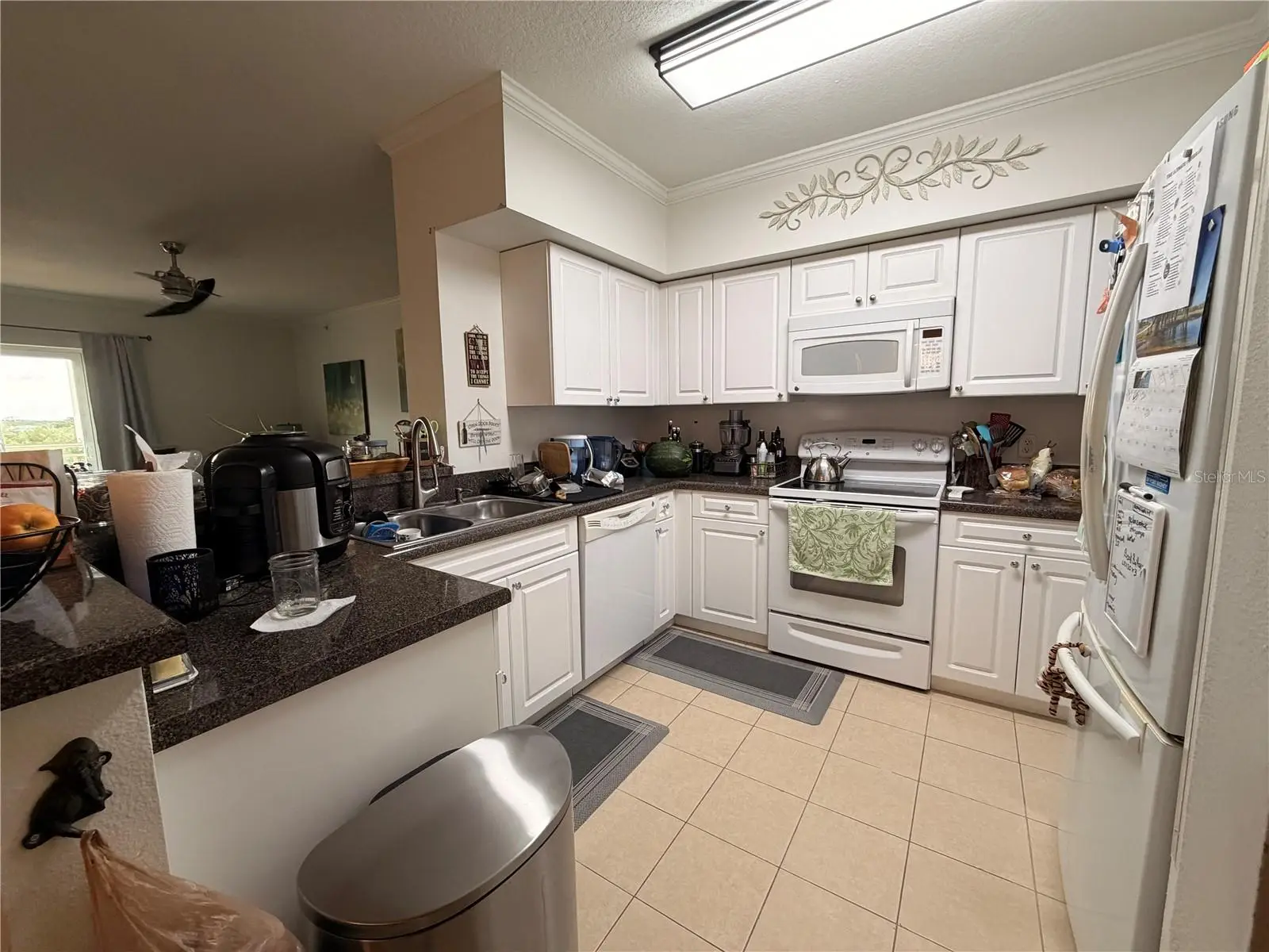 4516 Seagull Drive, FL