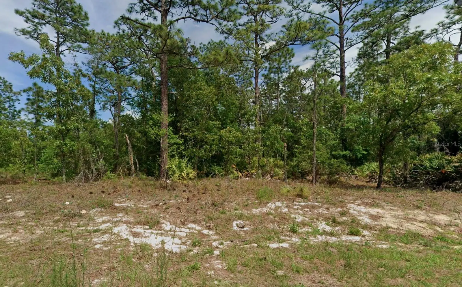 6977 Foxdale Drive, FL