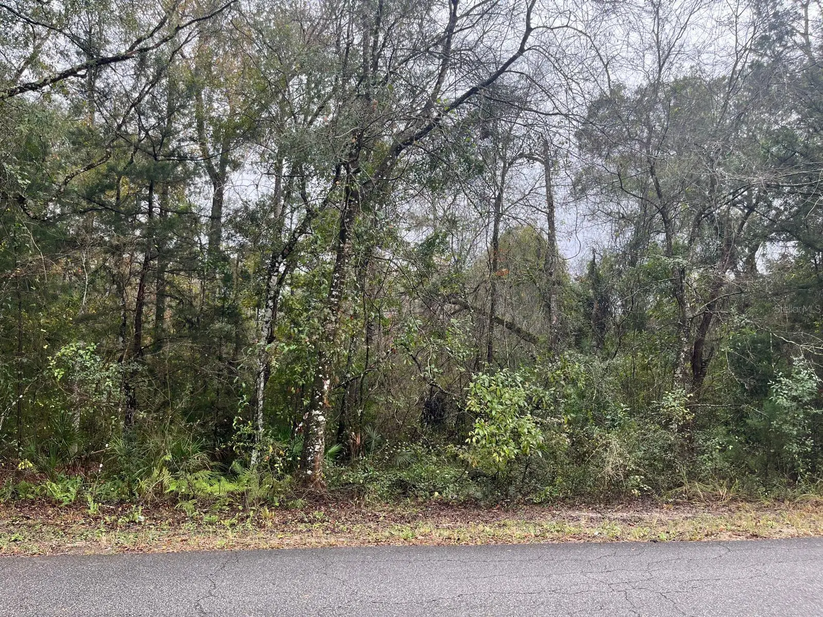 Nw 17 Place, FL