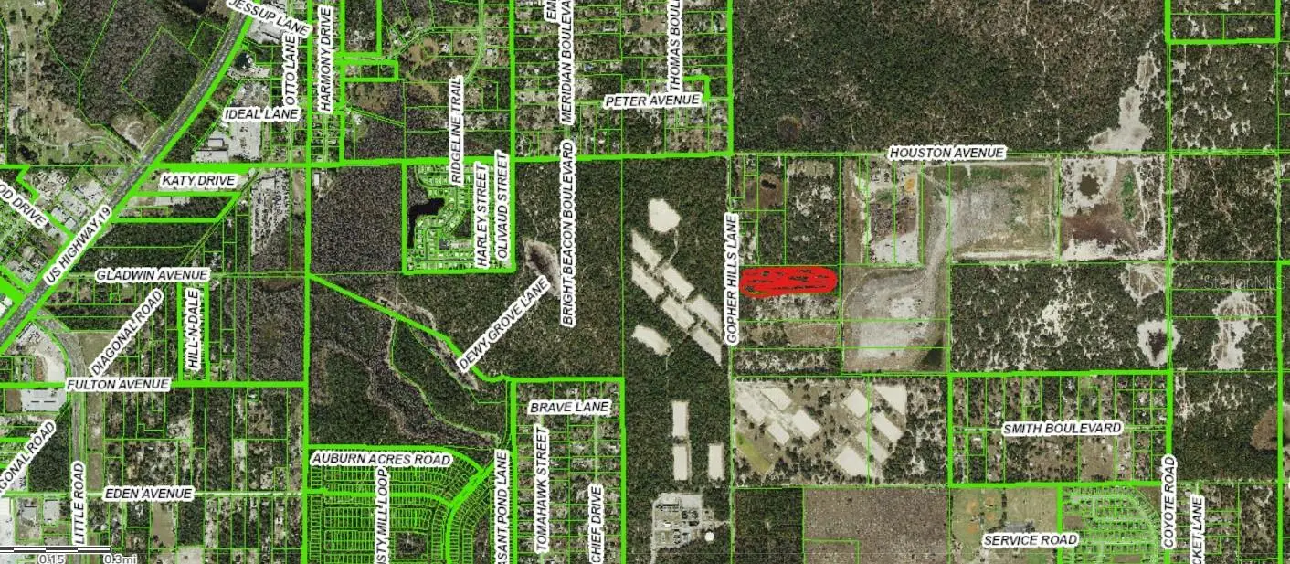 0 Gopher Hills Ln, FL
