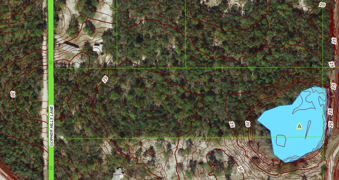 0 Gopher Hills Ln, FL