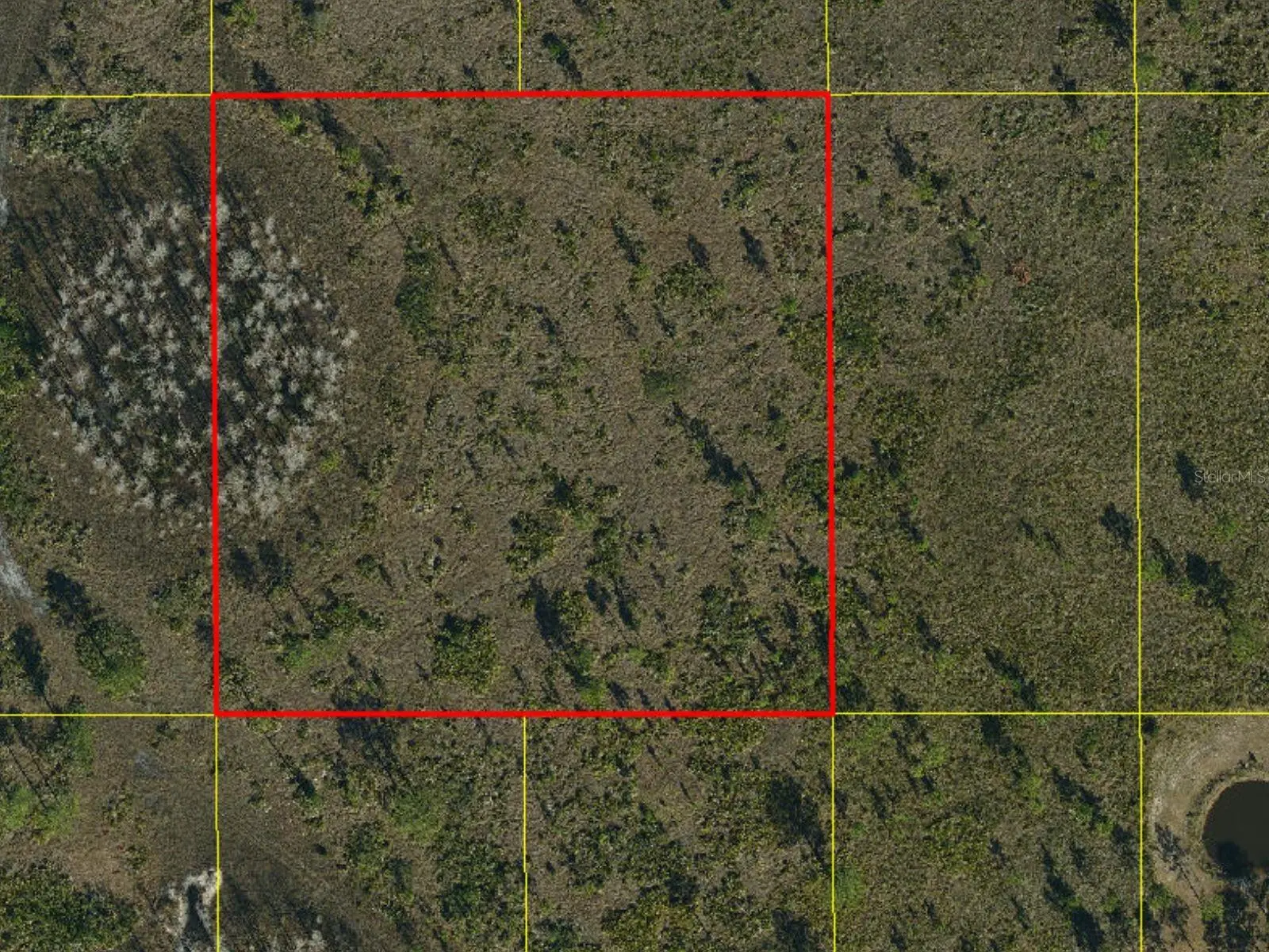 Holopaw Groves Road, FL