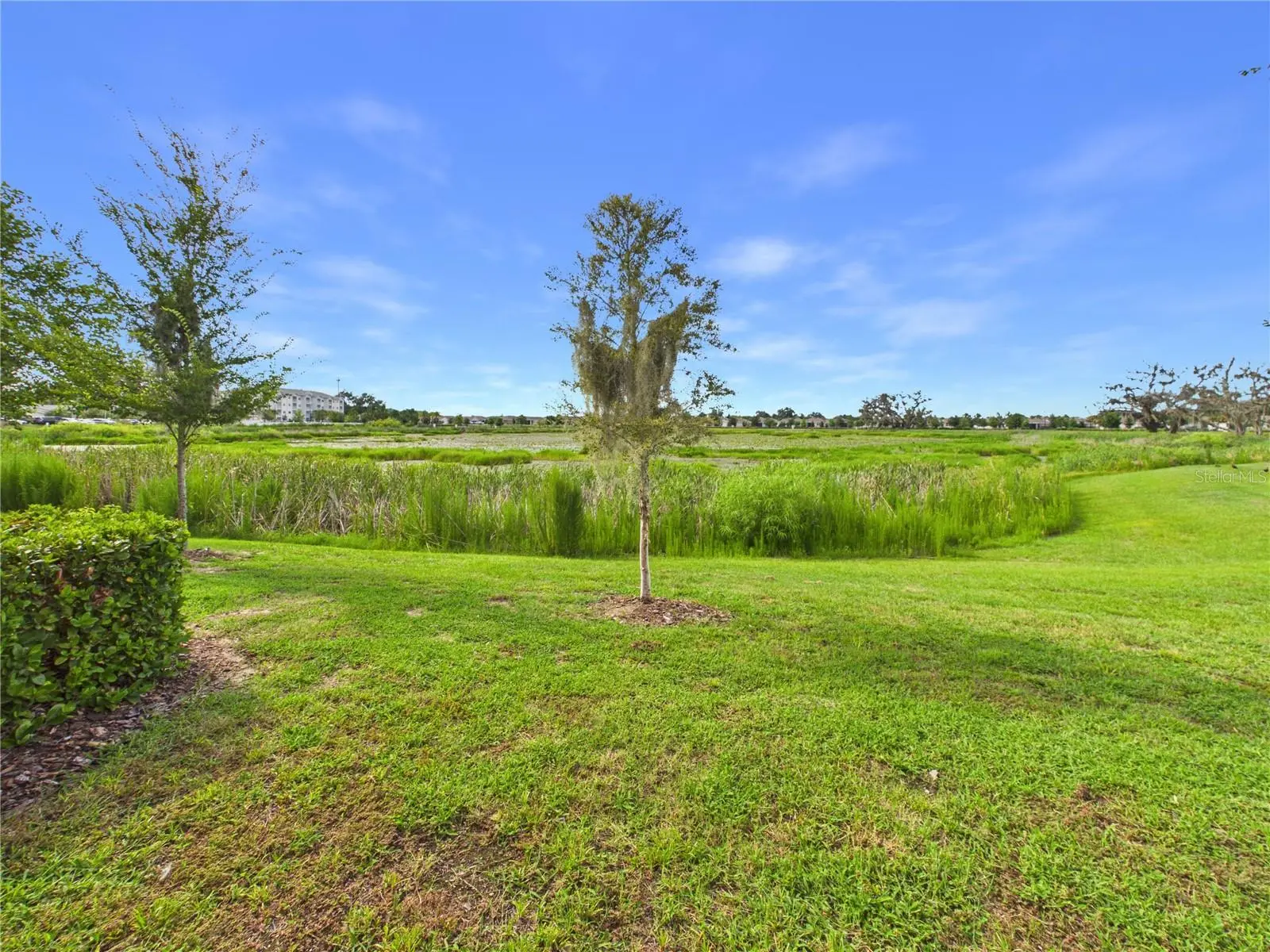 5262 Dragonfly Drive, FL