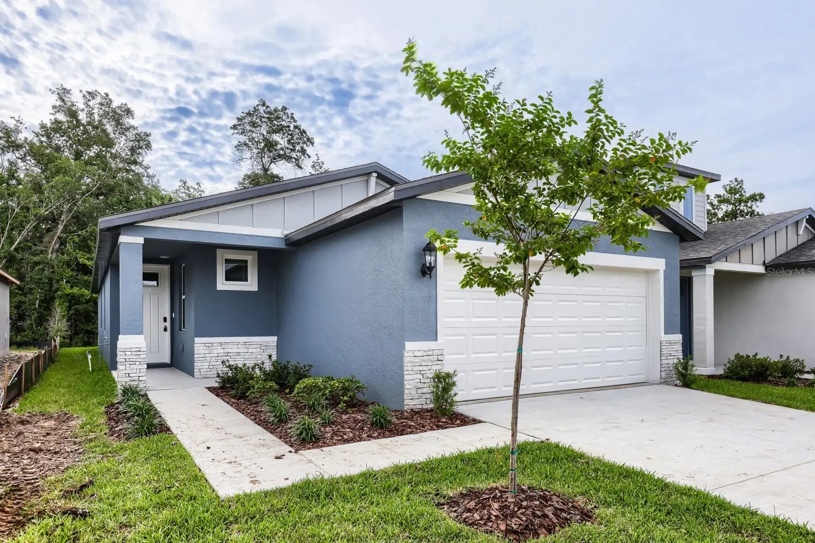7436 Mia Vine Drive, FL