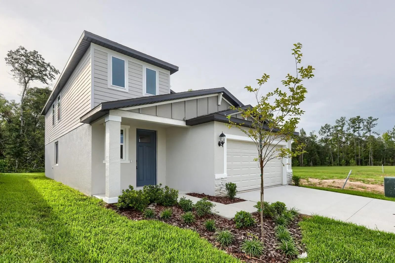 7426 Mia Vine Drive, FL