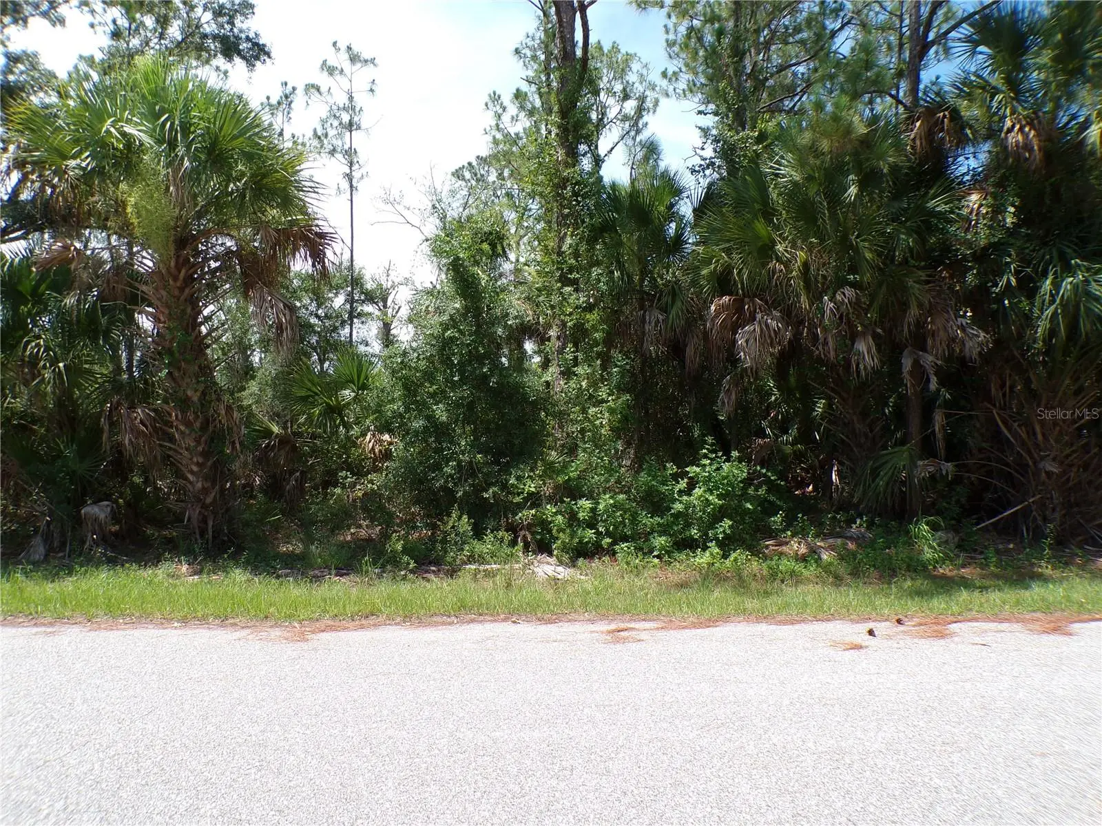 Armenia Road, FL