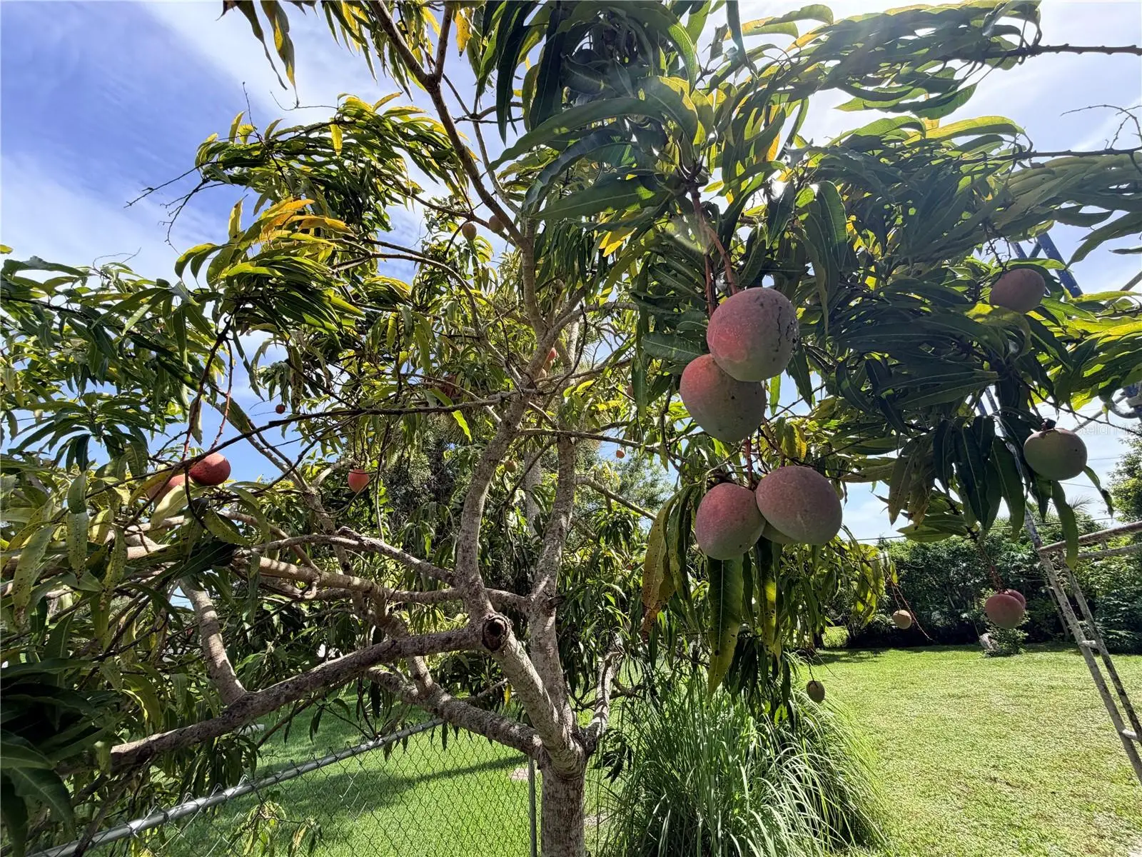 125 4th Street, FL