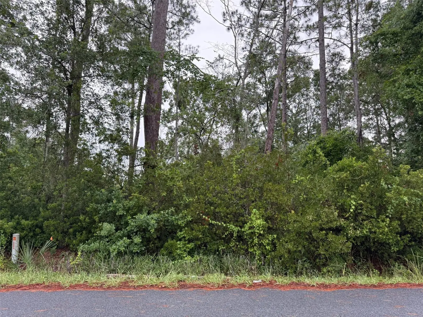 Tbd Redwood Track Course, FL