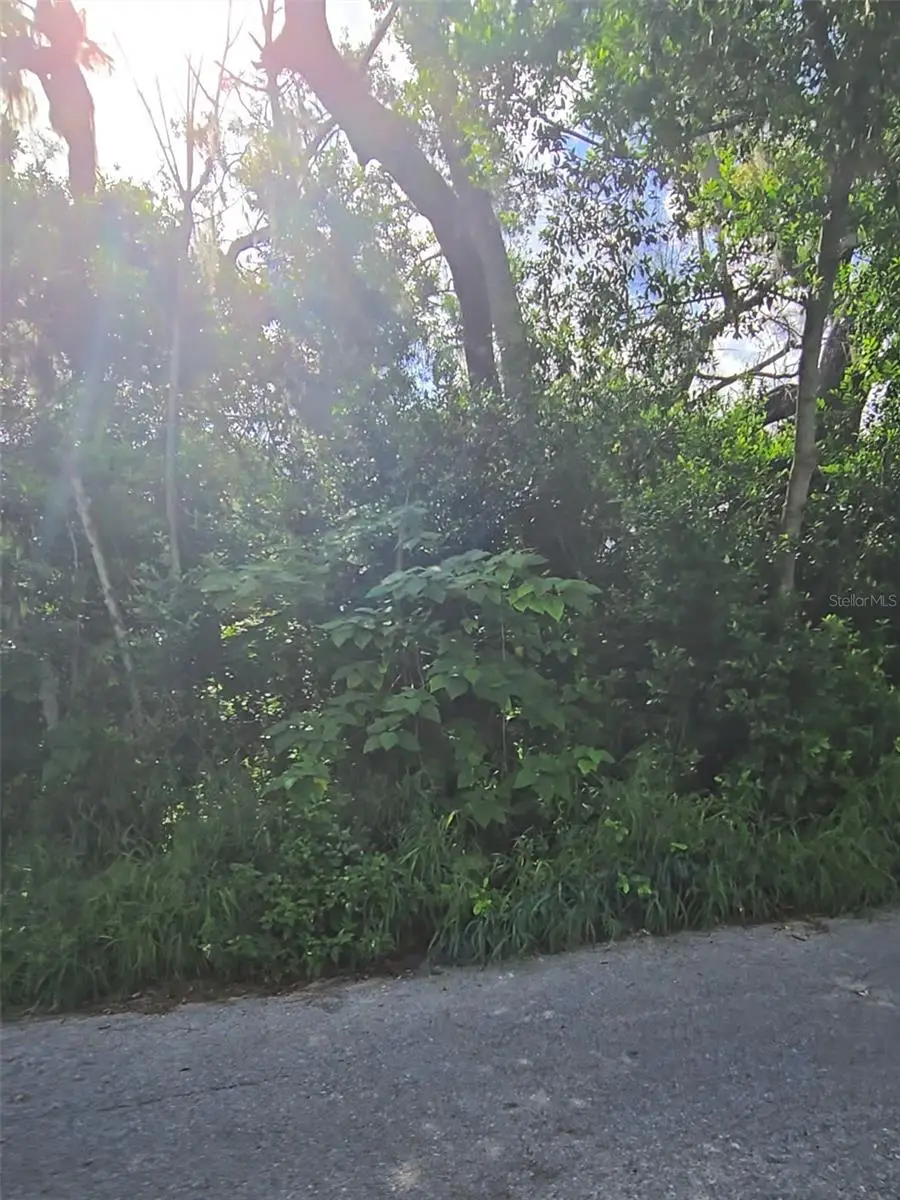 Lenox Drive, FL
