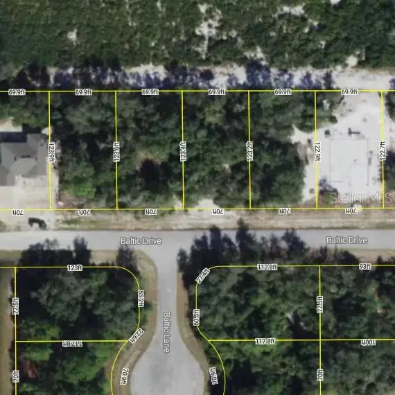 1217 Baltic Drive, FL