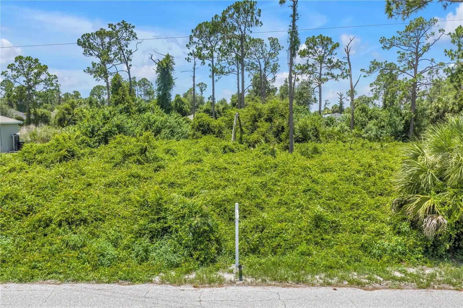 Knotty Pine Avenue, FL