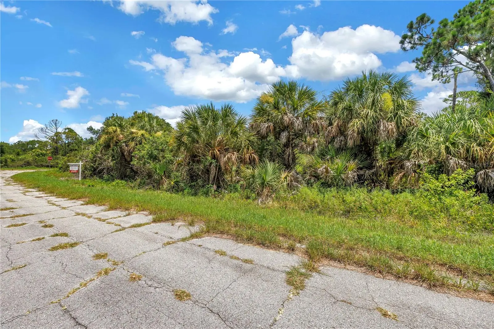 Hinshaw Avenue, FL