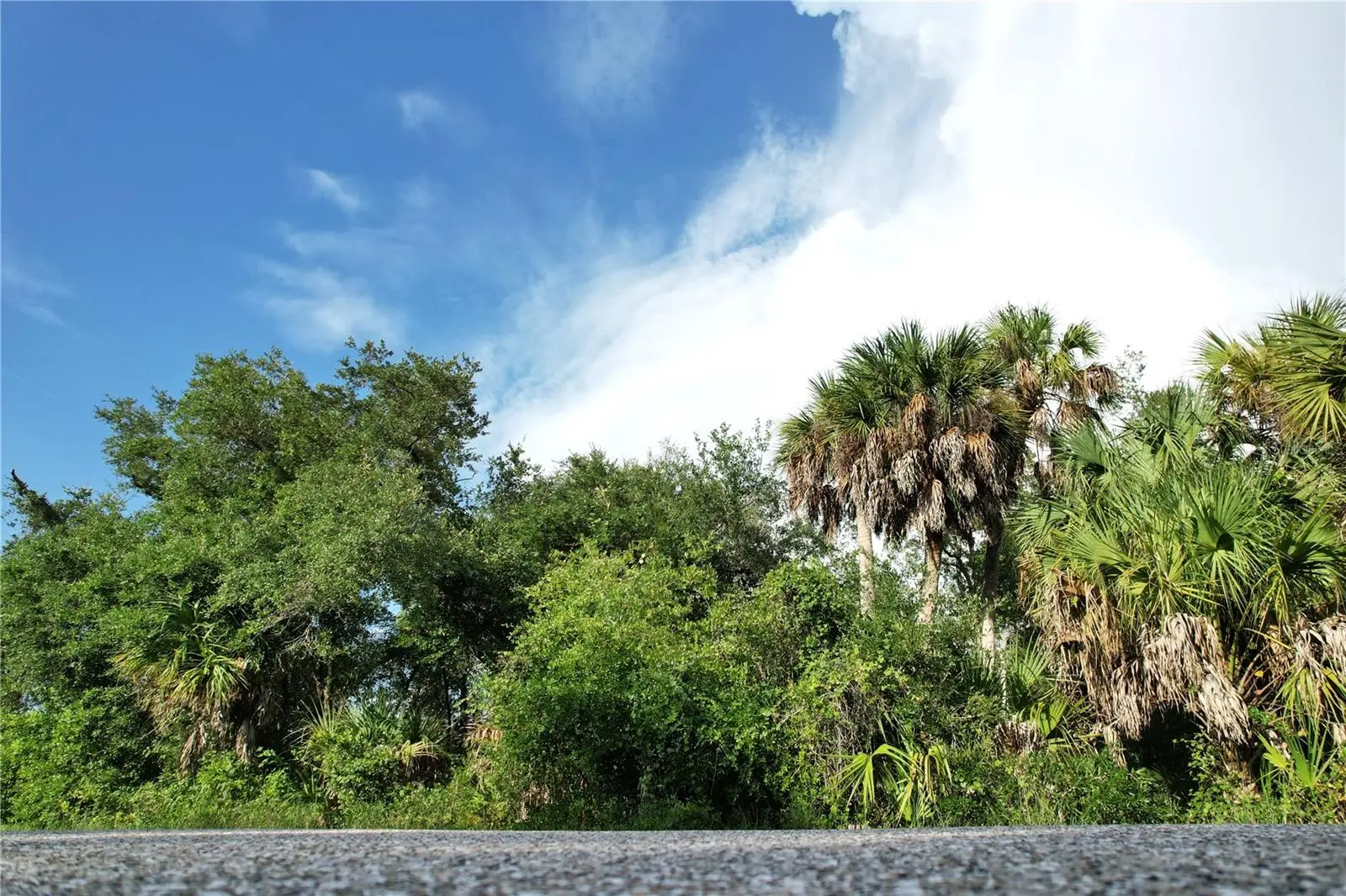 2140 Fernwood Street, FL
