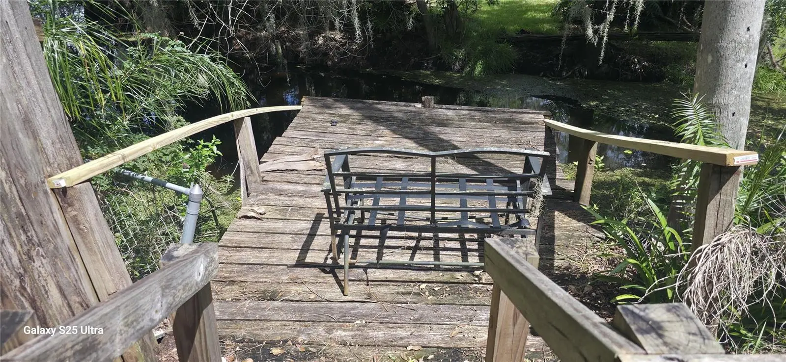 3205 Laurel Dale Drive, FL