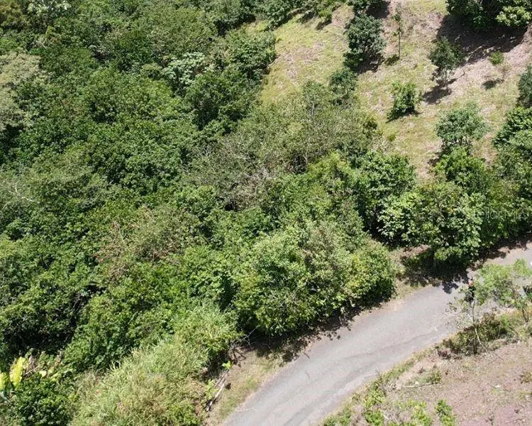 Hacienda De Cidra, Rabanal Parcela #32, PR