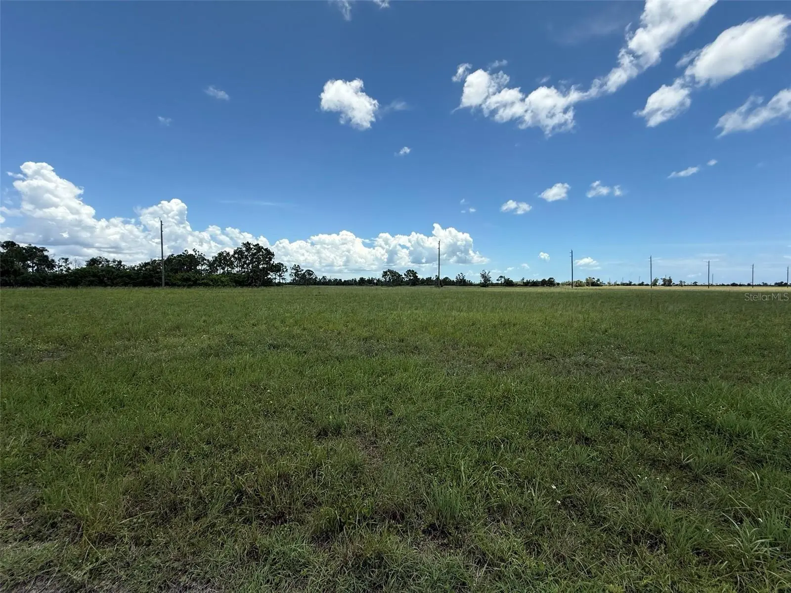 12439 Greenling Way, FL