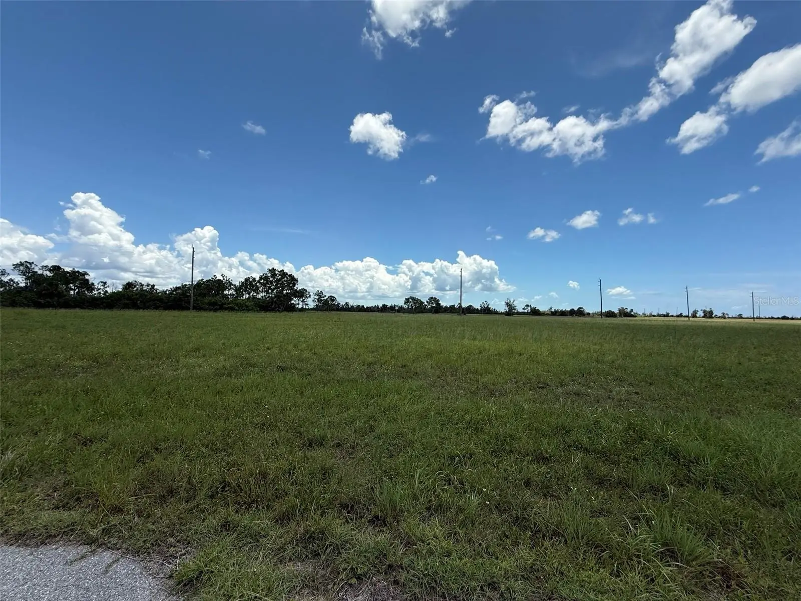 12439 Greenling Way, FL