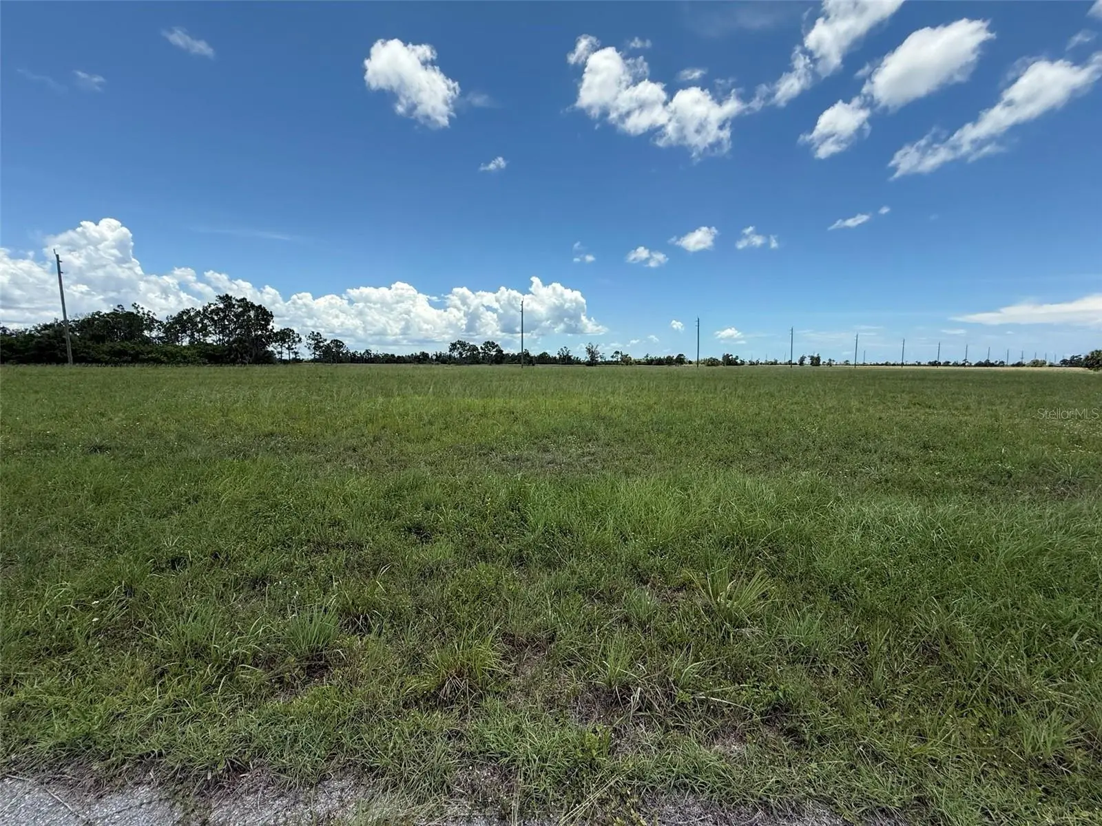 12439 Greenling Way, FL