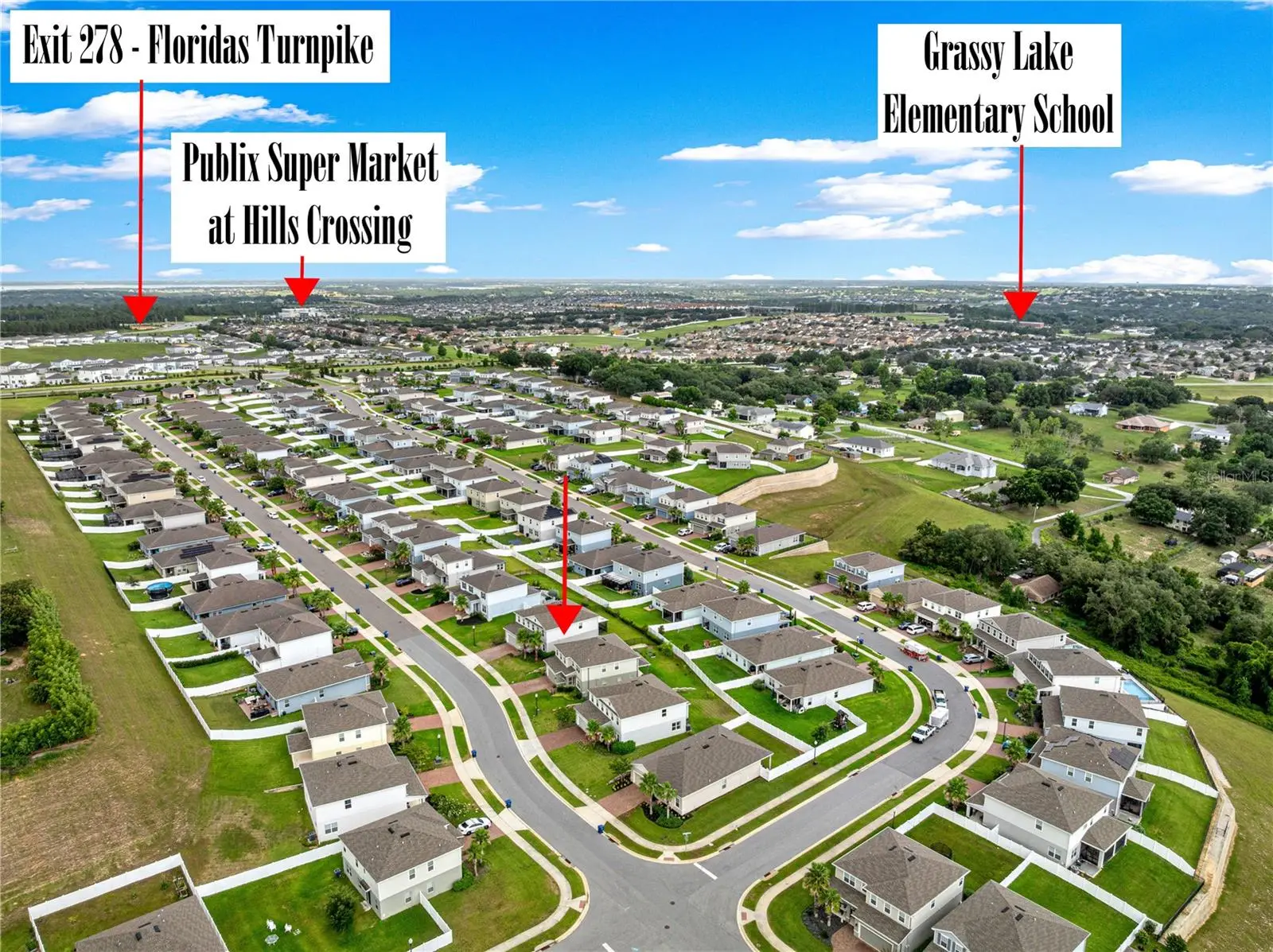 3133 Hill Point Street, FL