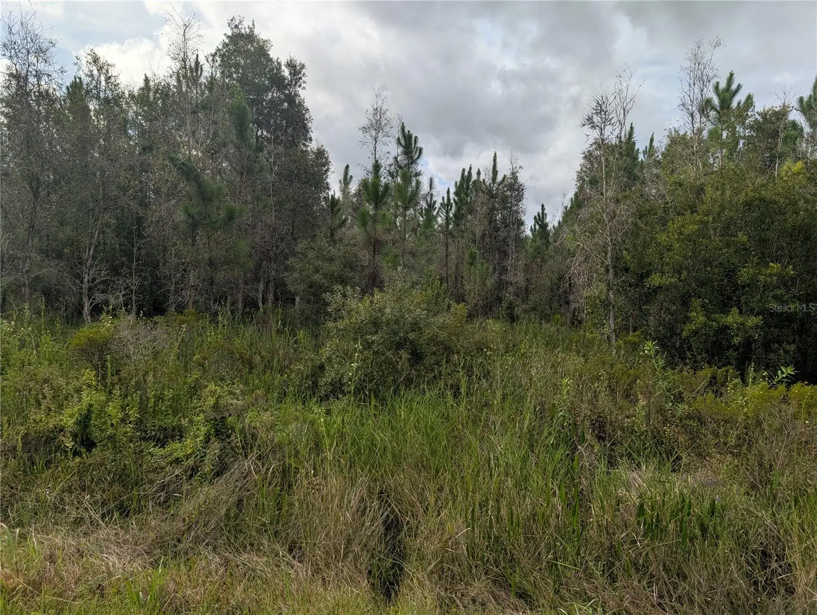Meadowlark Boulevard, FL