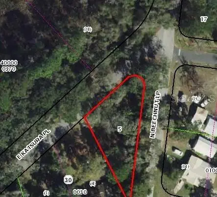 6650 Beechnut Loop, FL