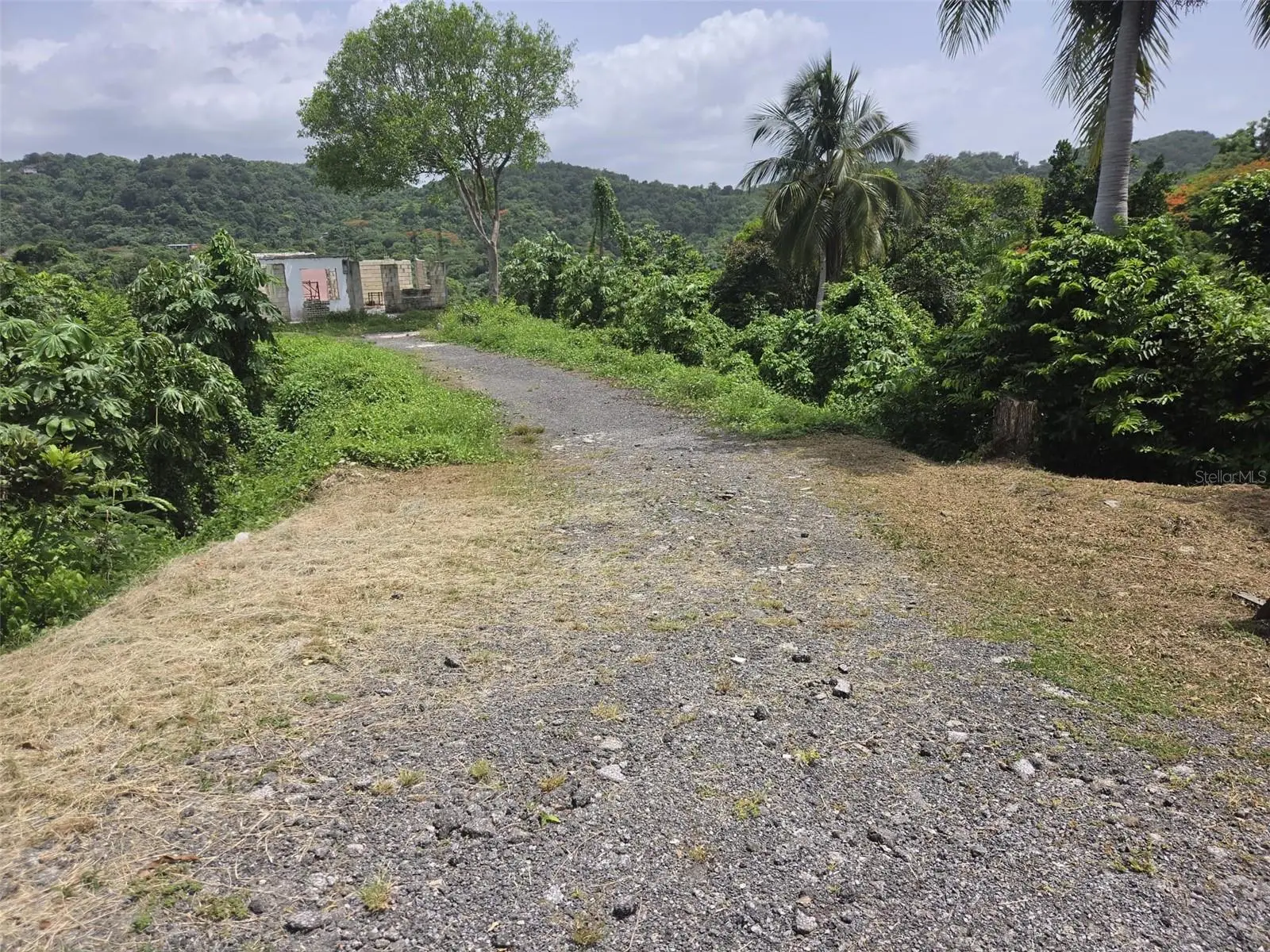 Carr. 348, Km. 5.7 Int. Bo. Malezas, PR