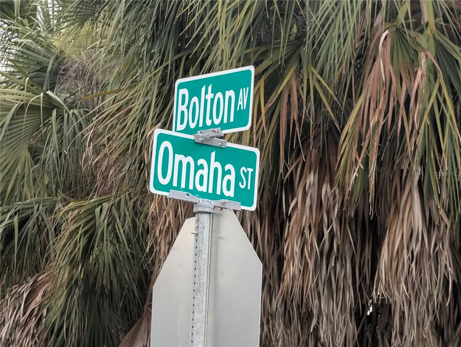 00 Bolton Avenue, FL
