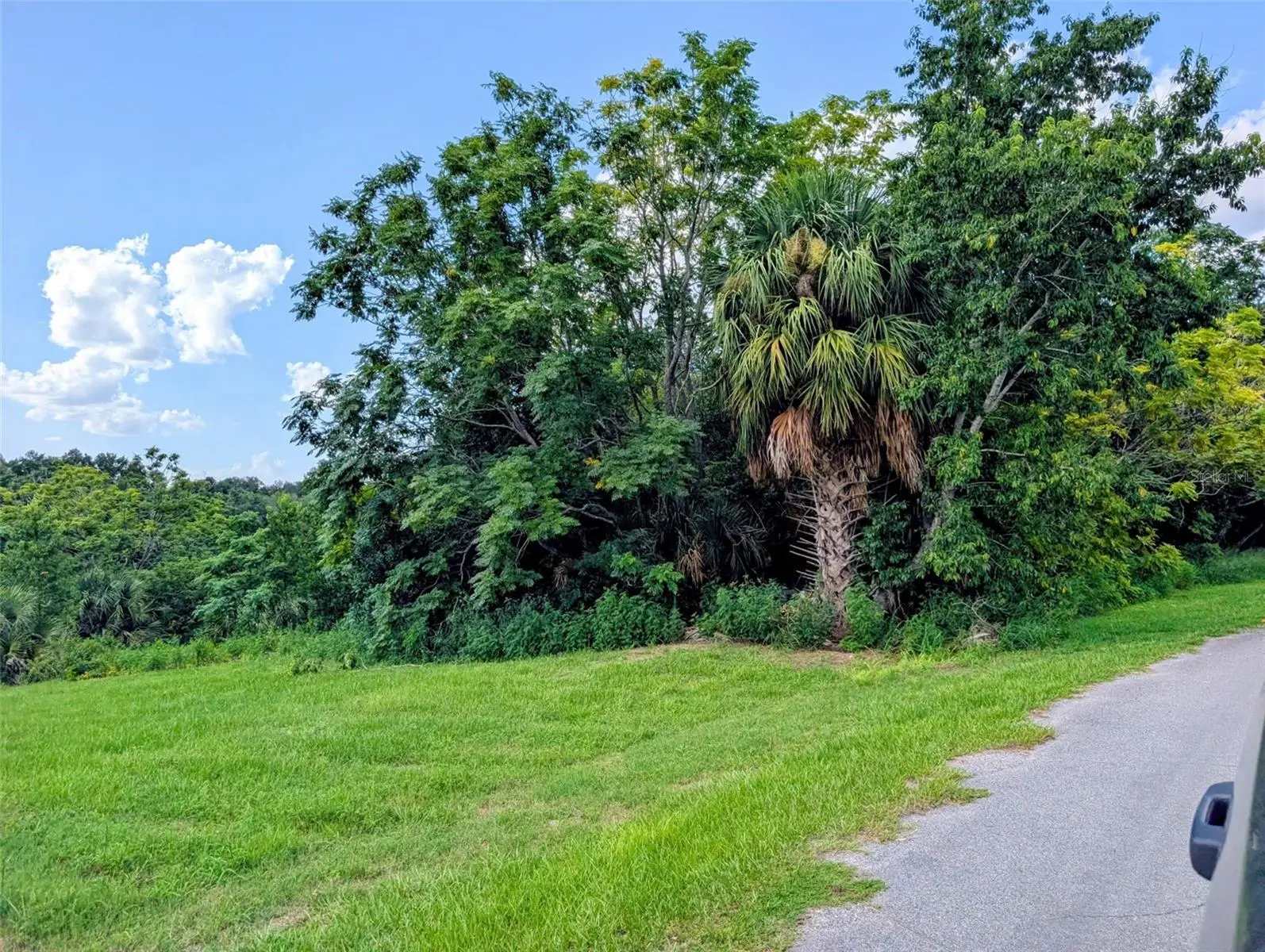 Green Briar Drive, FL