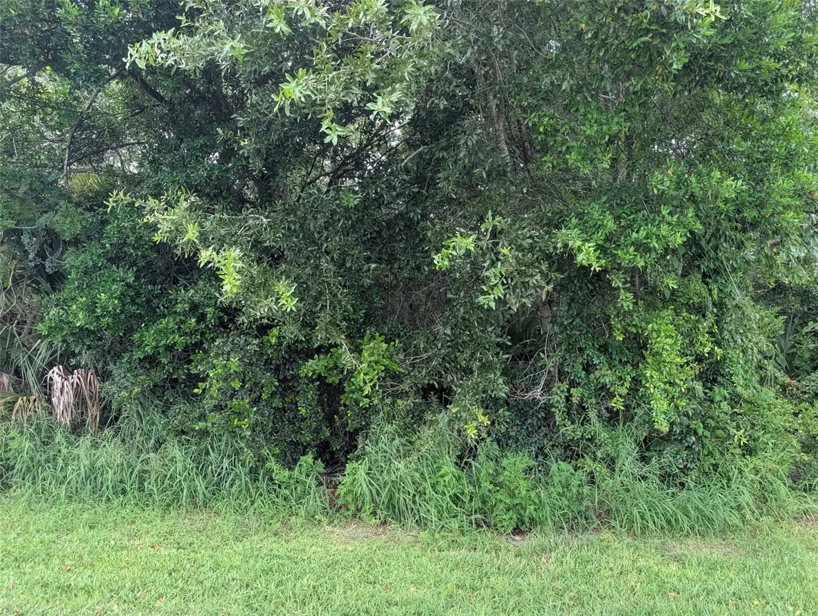 Green Briar Drive, FL
