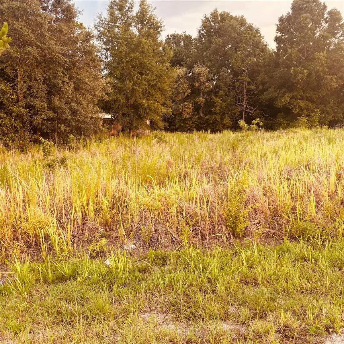 Tbd Dogwood Drive Course, FL