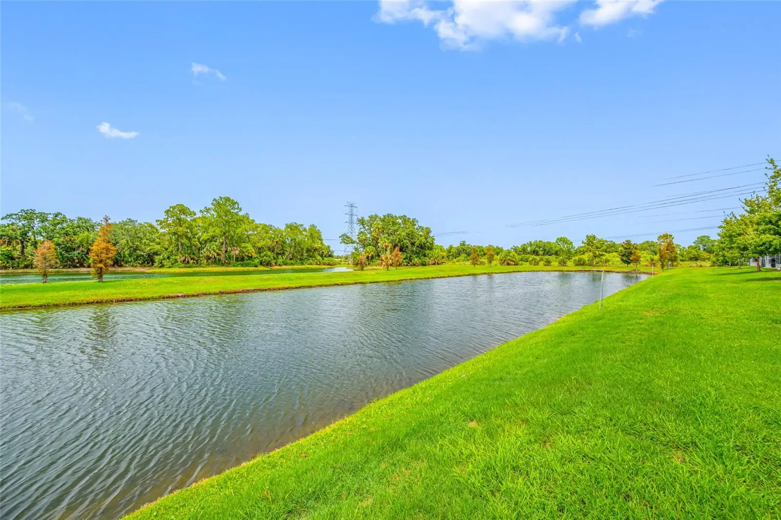 7932 Evergreen Creek Court, FL