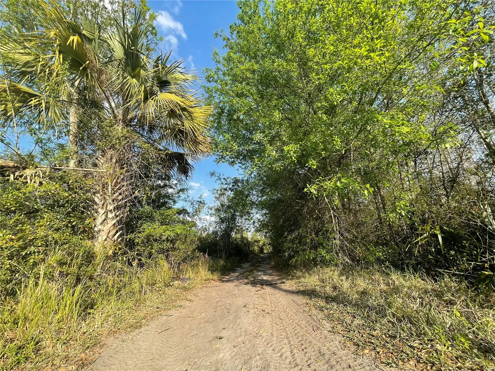 Concord Road, FL