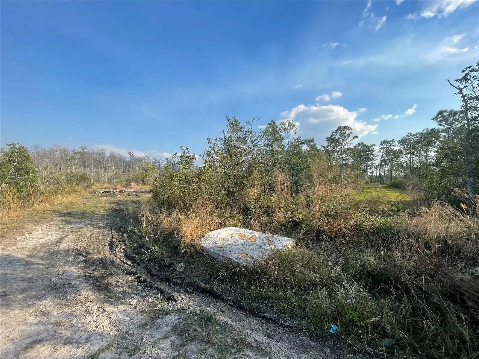 Topeka Avenue, FL