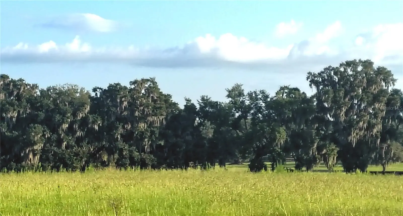 Covington Road, FL