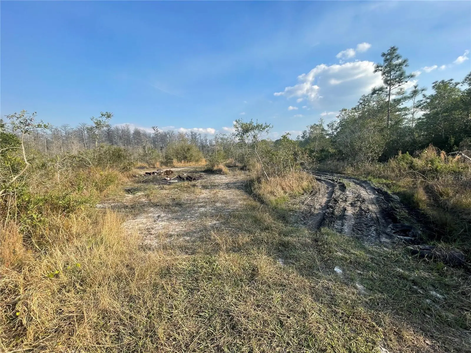 Concord Road, FL