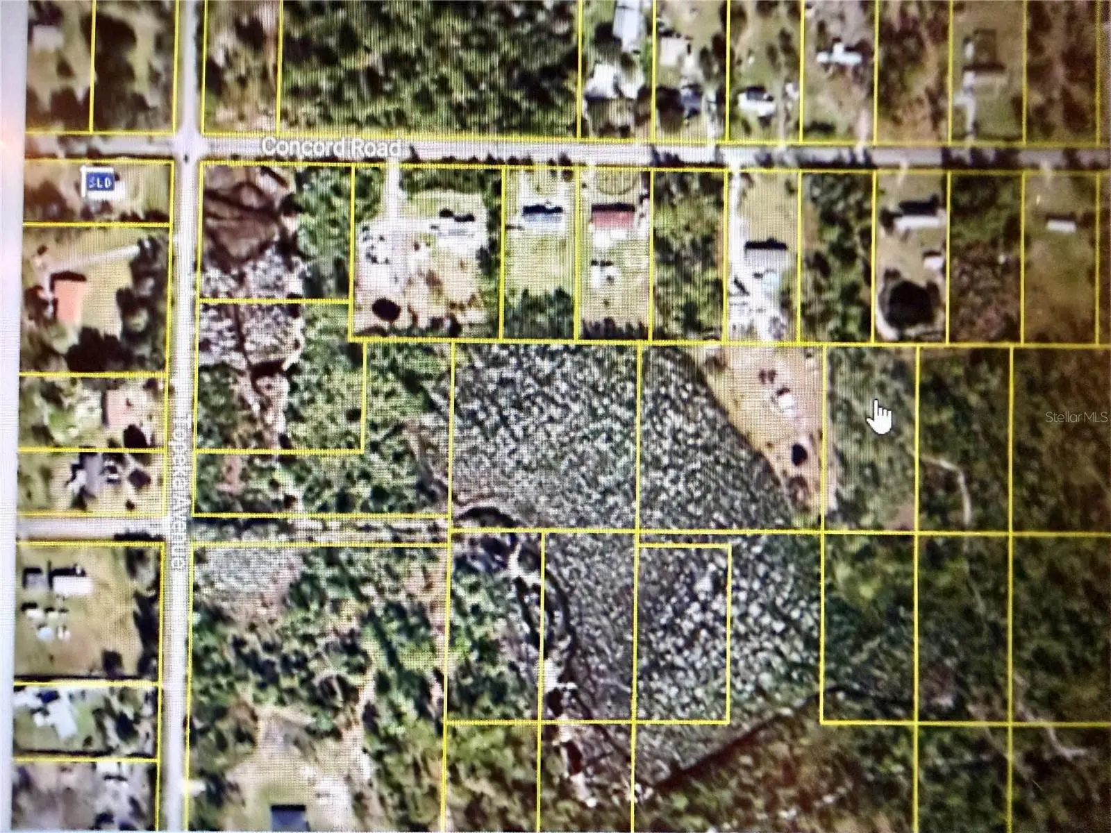 Concord Road, FL