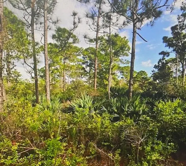 5550 Tree Top Trail, FL