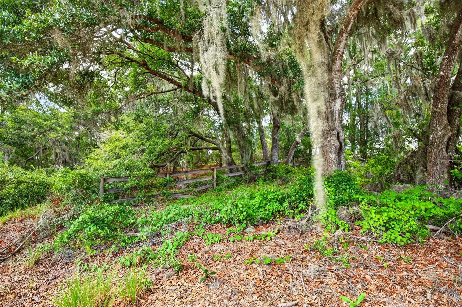 Malauka Loop, FL
