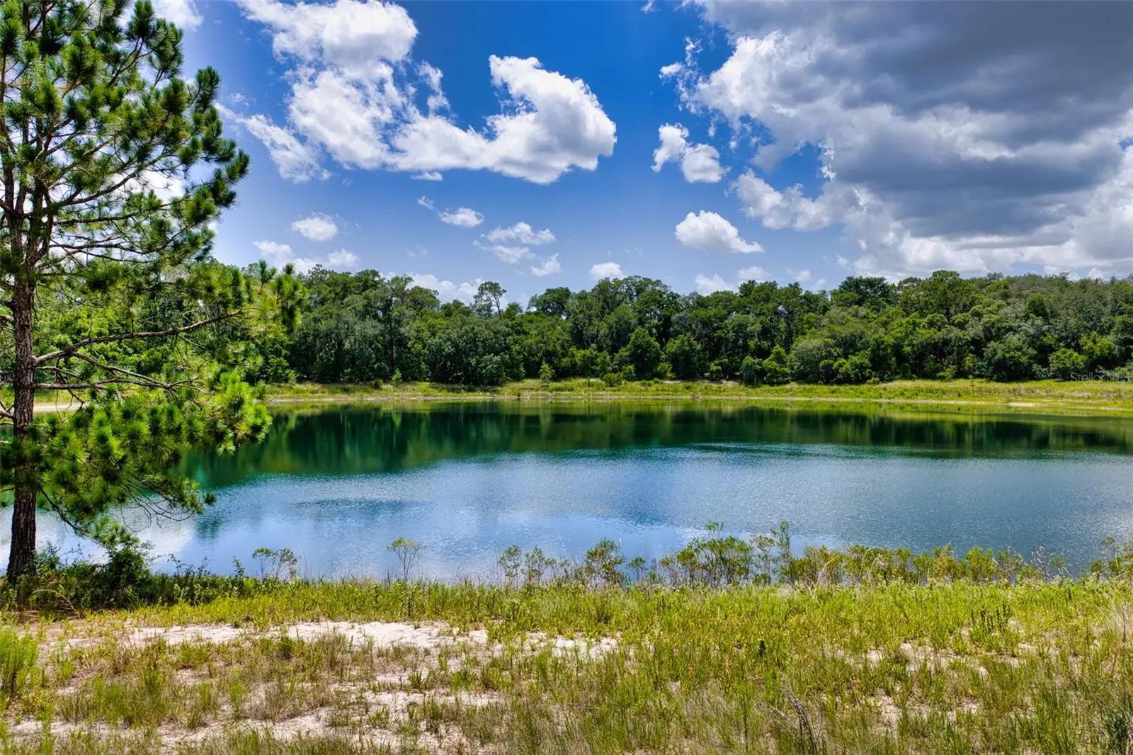 Malauka Loop, FL