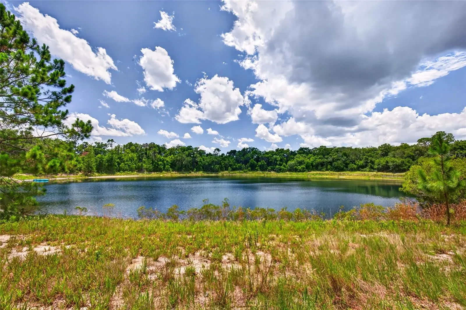 Malauka Loop, FL