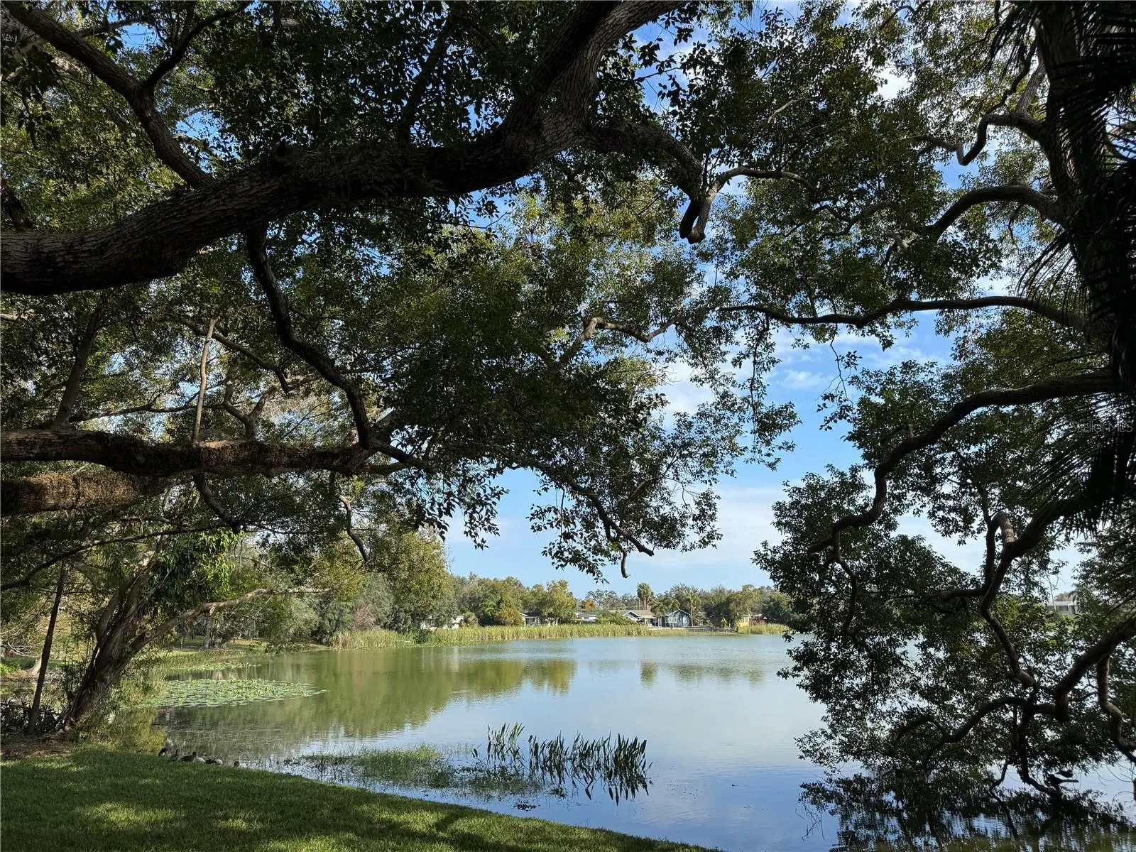 2943 Eagle Lake Drive, FL