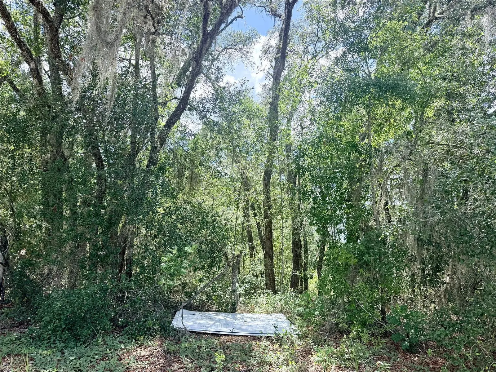 7932 Elkcam Boulevard, FL