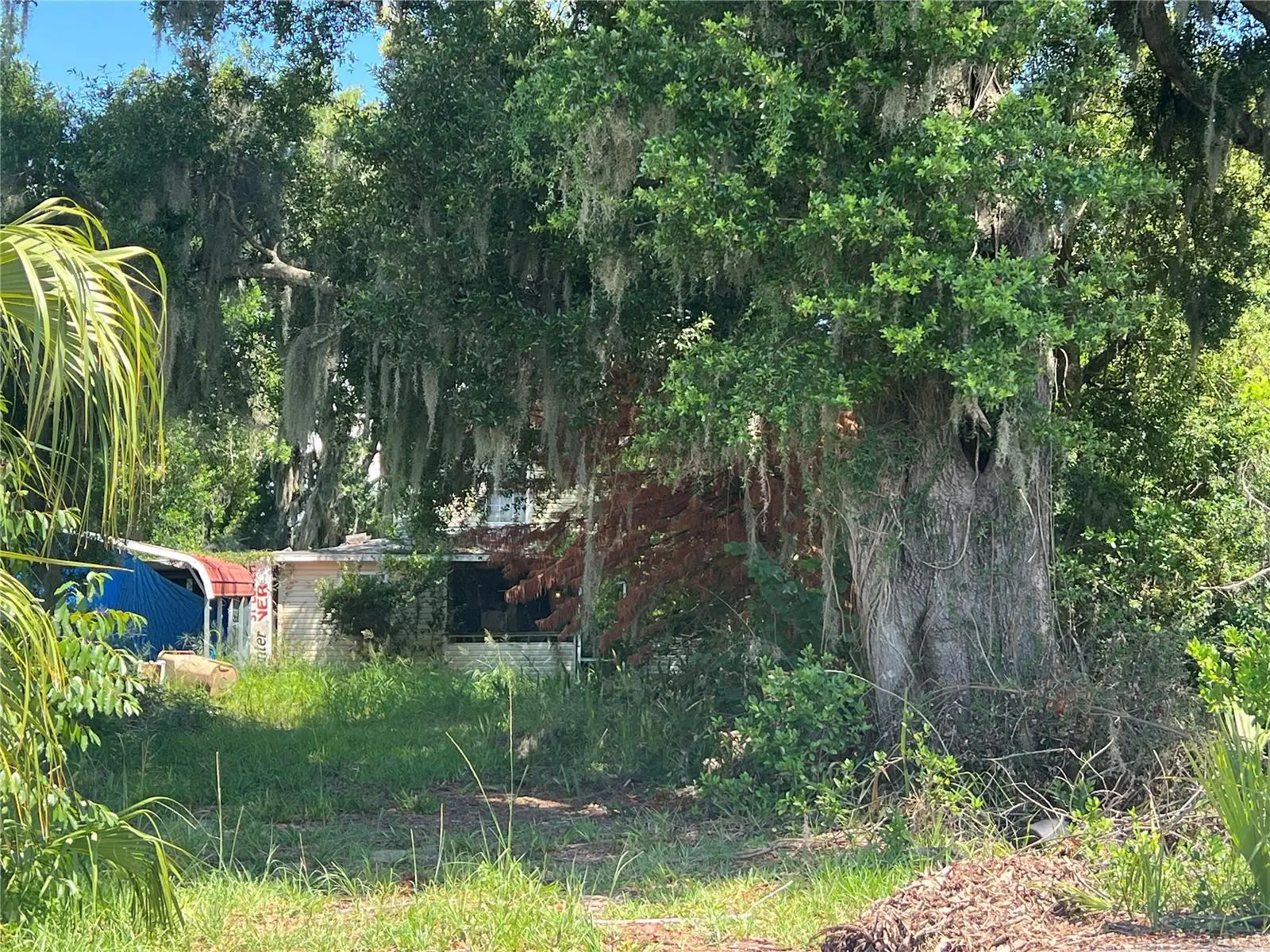 2979 Grove Street, FL