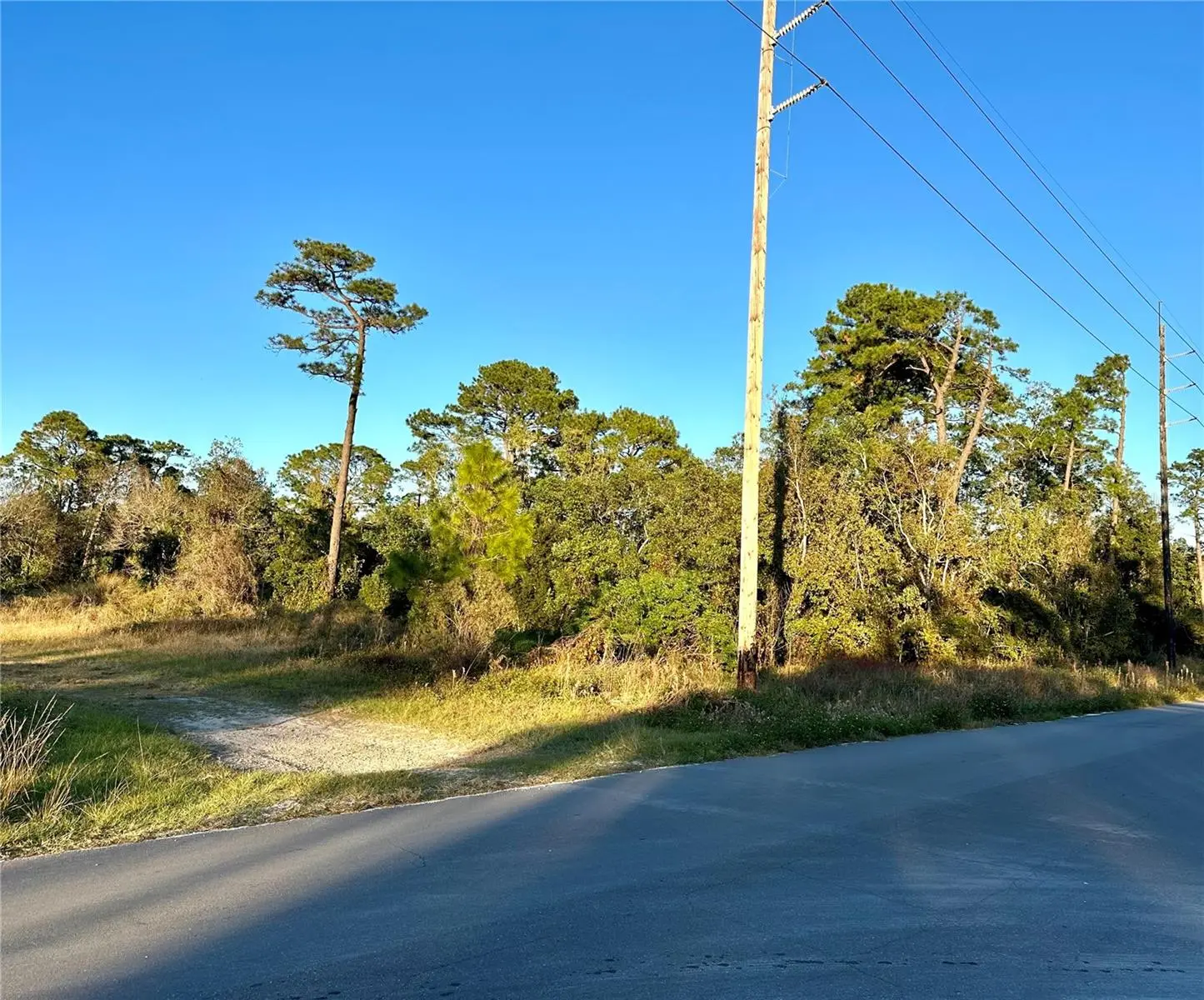 1635 Central Parkway, FL